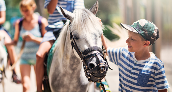 11476-6 SummerCamp-Horse-560x300.jpg