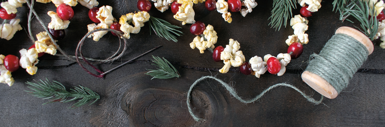 popcorn-and-cranberry-garland-1242x411.jpg
