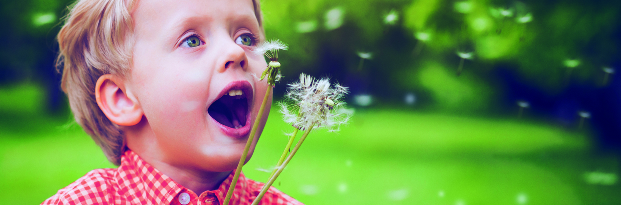 boy-blowing-dandelions-1242x411.jpg