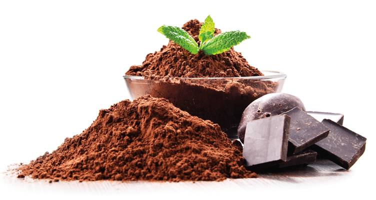 cocoa-powder-752x400.jpg