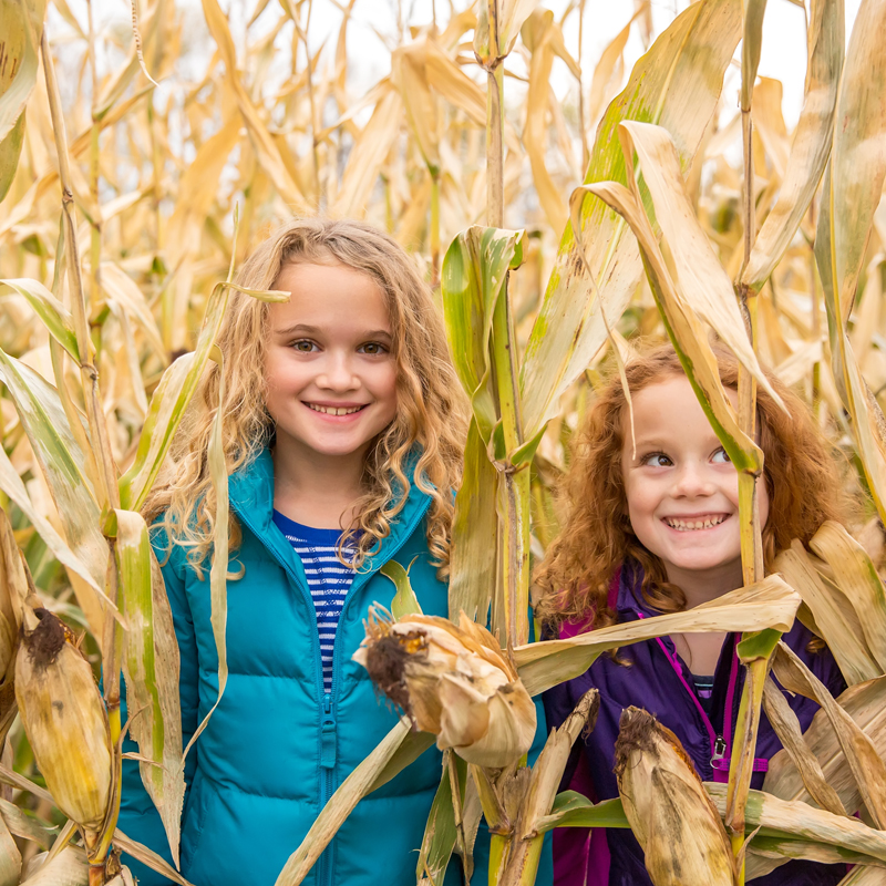 kids-in-cornfield-800x800.jpg