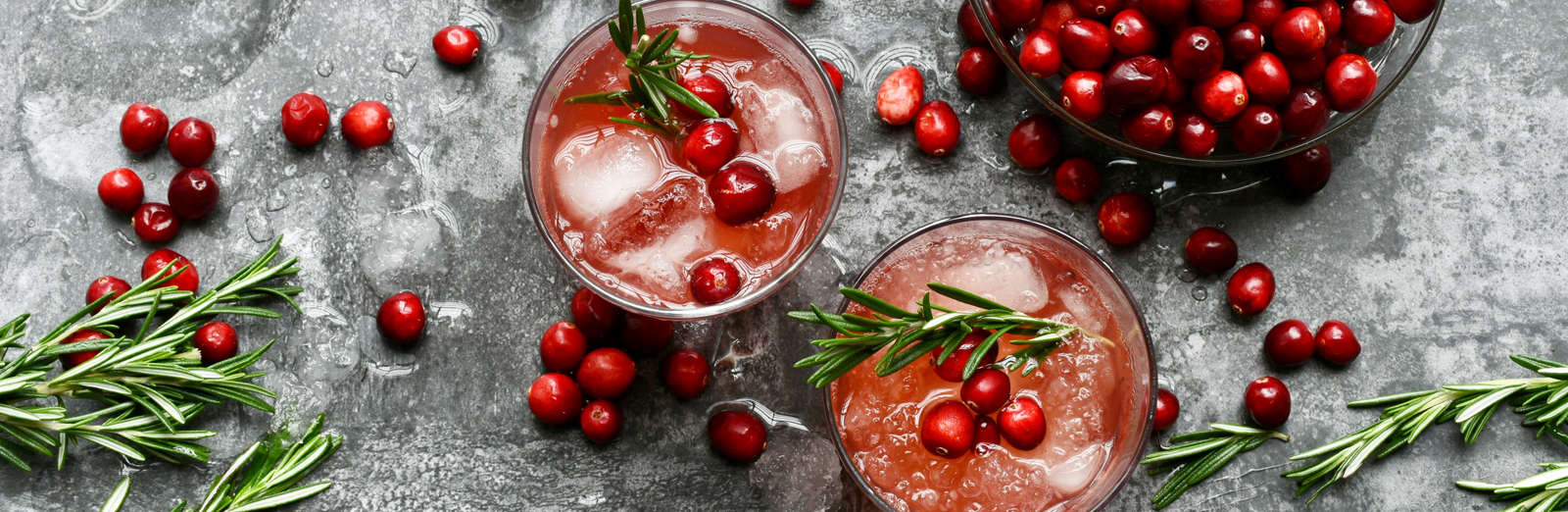 winter-cranberry-cocktail-1600x522.png