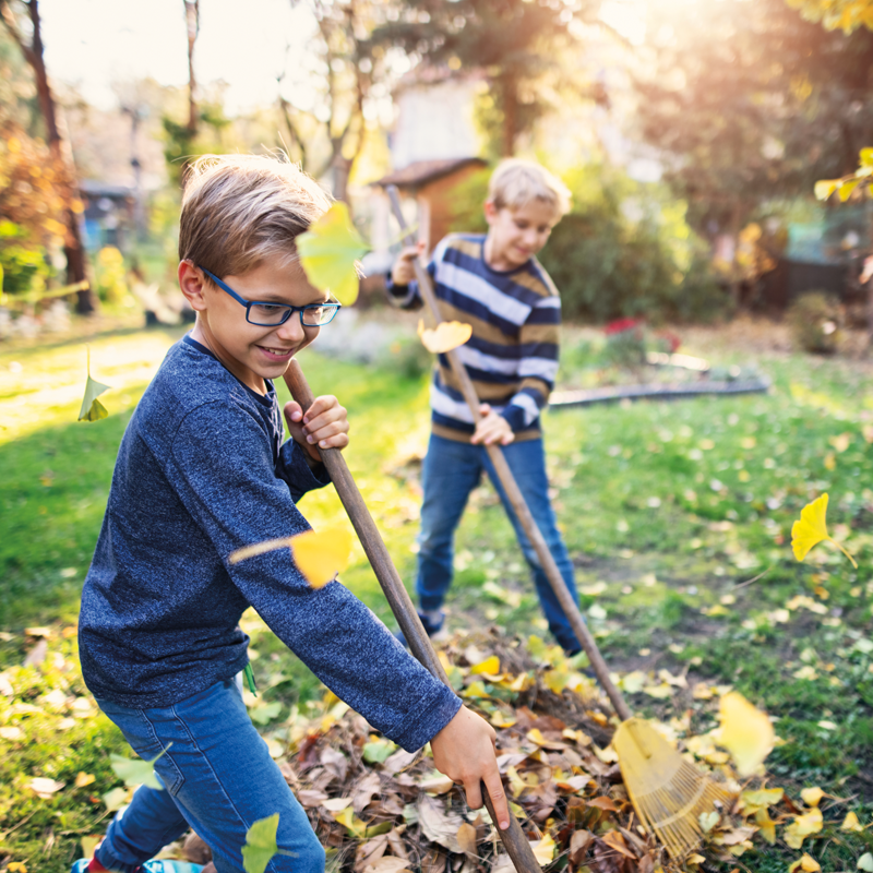 kids-raking-leaves-800x800.png