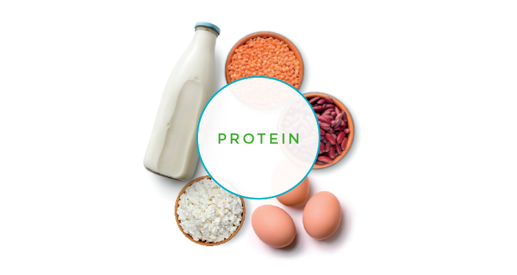 protein-images-752x400.png