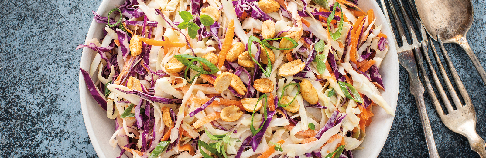 healthy-coleslaw-1600x522.png