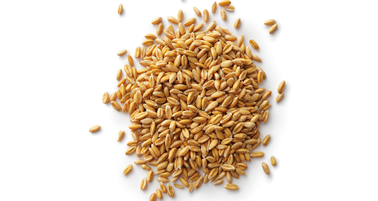 whole-grains-752x400.png