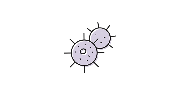 bacteria-icon-752x400.webp