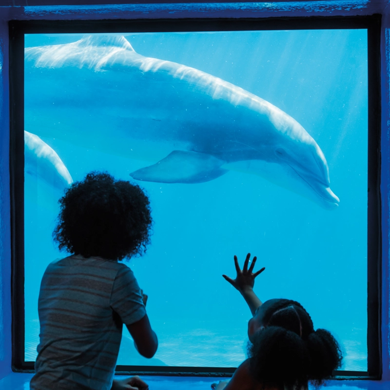 kids-at-aquarium-800x800.webp