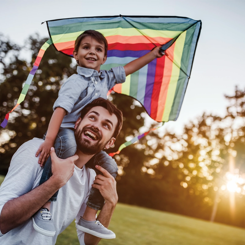 father-and-son-flying-a-kite-800x800.webp