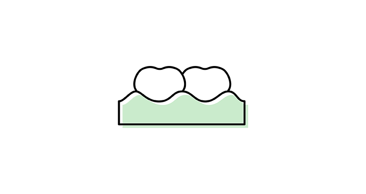 two-teeth-icon-752x400.webp