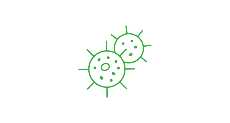 bacteria-icon-752x400.webp