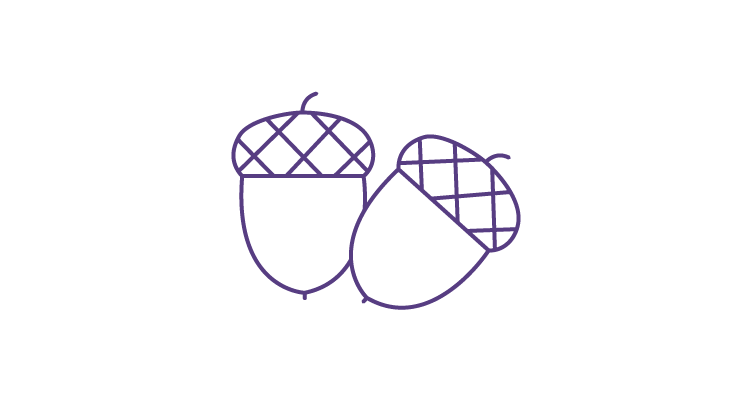 acorns-icon-752x400.webp