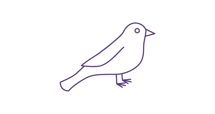 bird-icon-752x400.webp