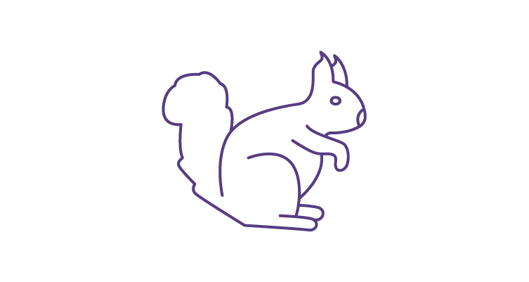 squirrel-icon-752x400.webp