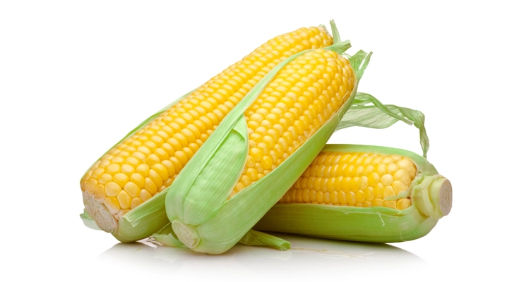 corn-on-the-cob-752x400.webp