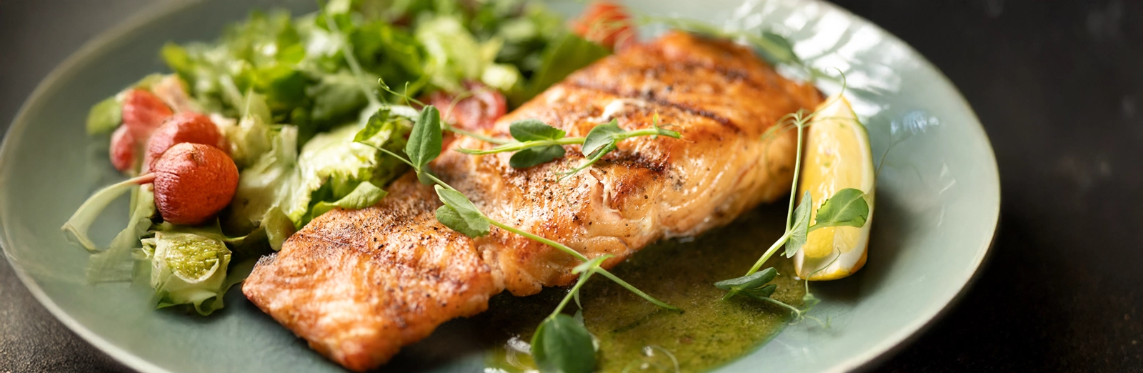 grilled-salmon-1600x522-ALT.webp