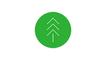 tree-icon-352x200.png